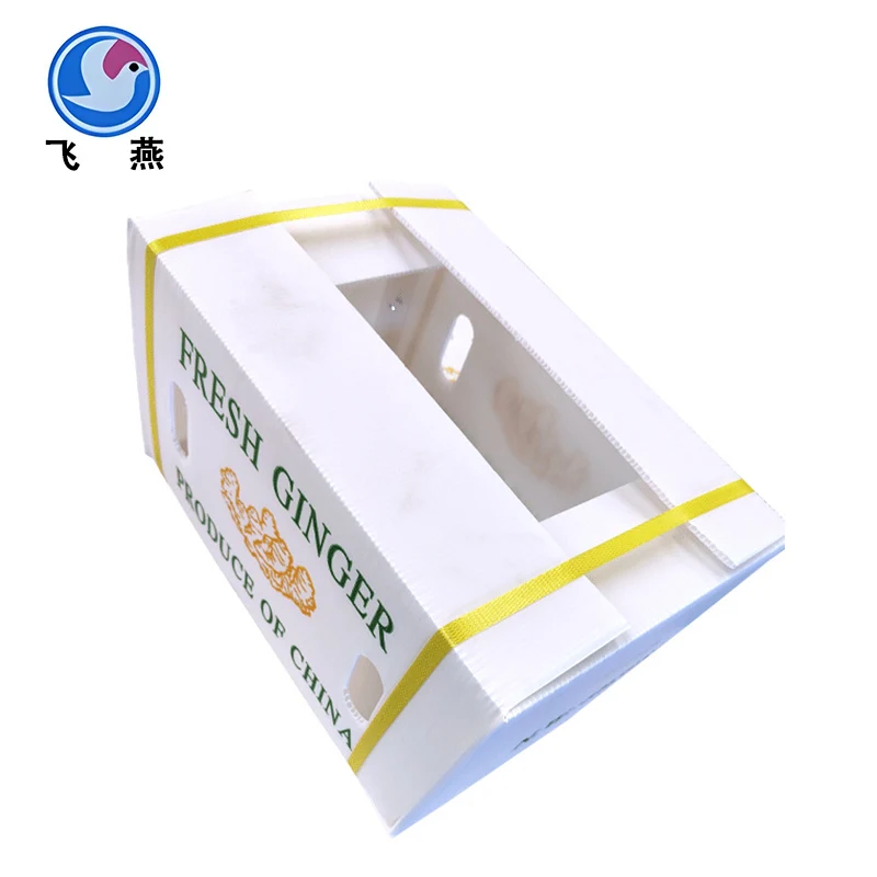 persimmon calcaro-box box calcarum ພາດສະຕິກ