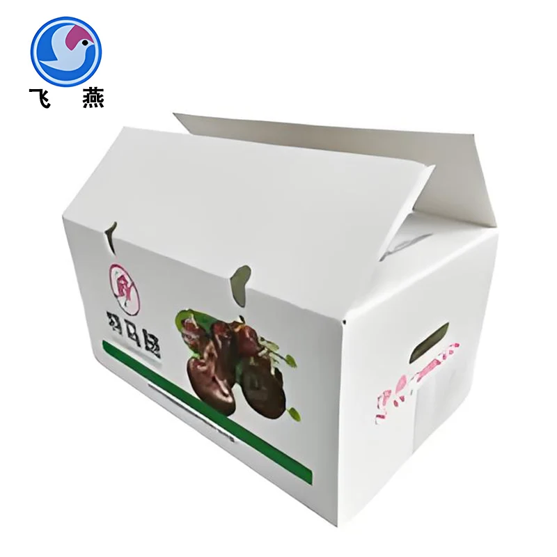 ກ່ອງສານປະຊຸມແກ່ນຫມາກກໍ່ນ້ໍາ